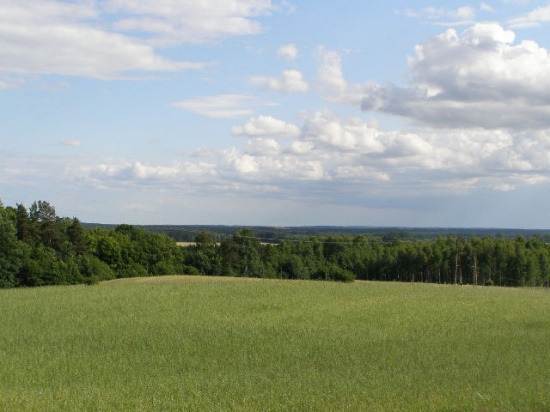 atrakcyjne działki z ładnym widokiem wśród jezior i lasów